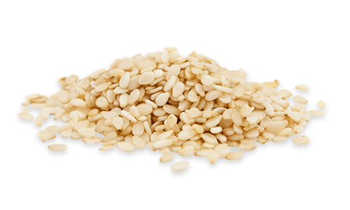 Sesame Seeds Sesame Seeds