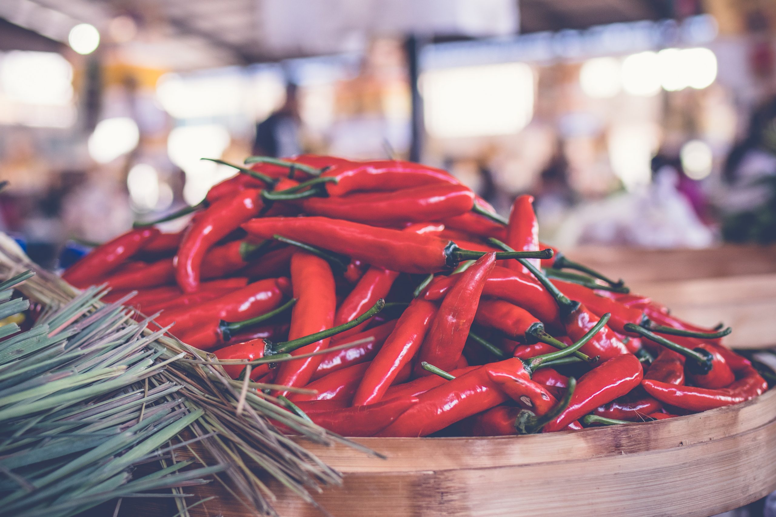 dried chilli pepper dried chilli pepper