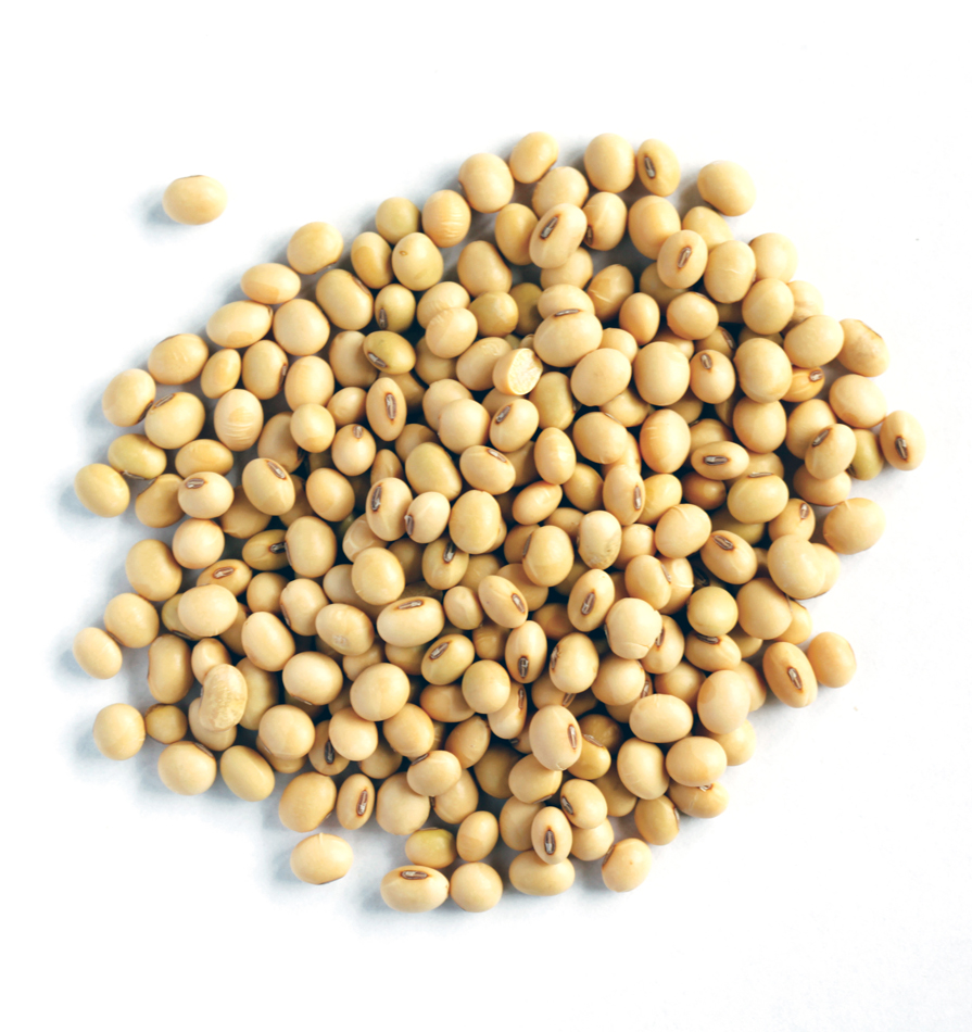 soya beans,
